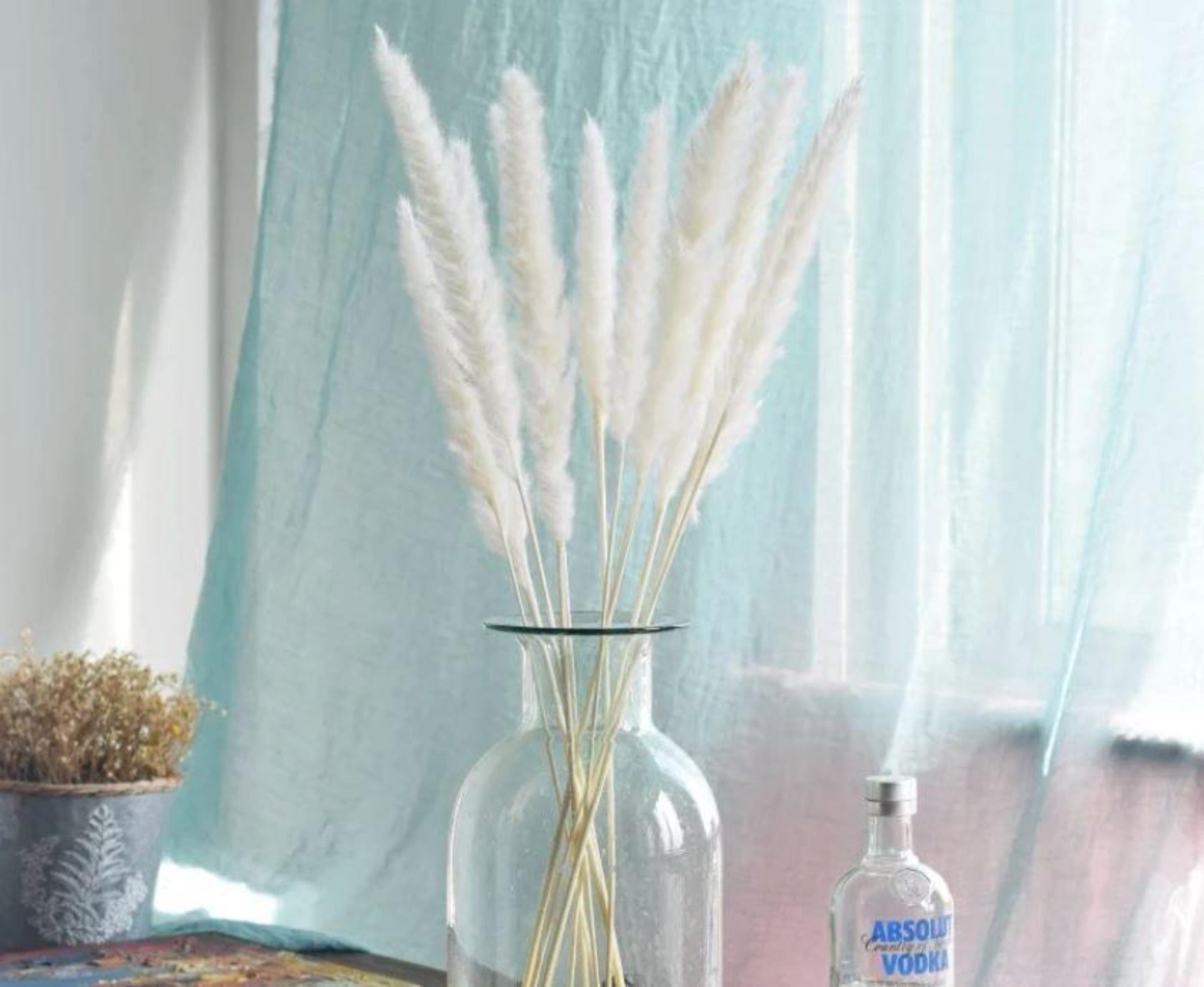 Dried Pampas Bunch